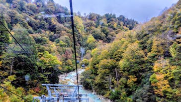 苗場ドラゴンドラに投稿された画像（2025/10/28）