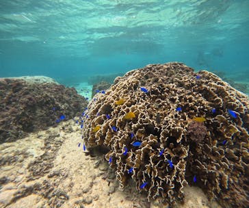 青の洞窟専門店　沖縄ダイビングショップ和に投稿された画像（2025/10/29）