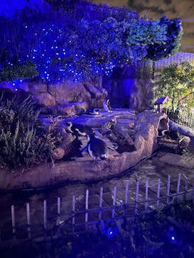 サンシャイン水族館に投稿された画像（2025/10/29）