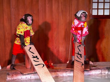 おさるの湯もみ処　おさ湯に投稿された画像（2025/10/29）