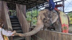 那須ワールドモンキーパークに投稿された画像（2025/10/29）