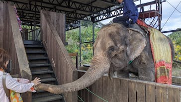 那須ワールドモンキーパークに投稿された画像（2025/10/29）