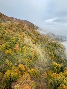 苗場ドラゴンドラに投稿された画像（2025/10/29）