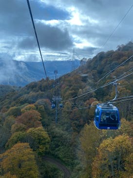 苗場ドラゴンドラに投稿された画像（2025/10/29）