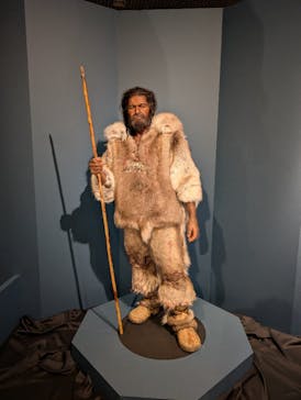 特別展「氷河期展 〜人類が見た4万年前の世界〜」（国立科学博物館）に投稿された画像（2025/10/29）