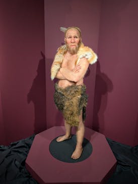 特別展「氷河期展 〜人類が見た4万年前の世界〜」（国立科学博物館）に投稿された画像（2025/10/29）