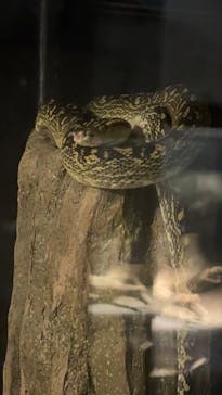 沖縄こどもの国に投稿された画像（2025/10/29）