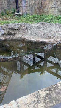 沖縄こどもの国に投稿された画像（2025/10/29）