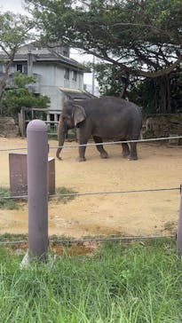 沖縄こどもの国に投稿された画像（2025/10/29）