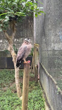 沖縄こどもの国に投稿された画像（2025/10/29）