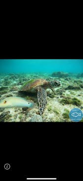 OCEAN'S SEVEN（オーシャンズセブン）に投稿された画像（2025/10/29）