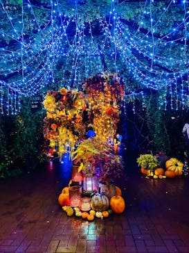 横浜イングリッシュガーデンに投稿された画像（2025/10/29）