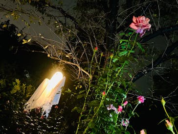 横浜イングリッシュガーデンに投稿された画像（2025/10/29）