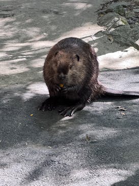 長崎バイオパークに投稿された画像（2025/10/29）