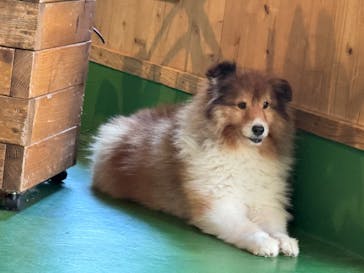 長崎バイオパークに投稿された画像（2025/10/29）