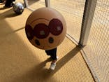 横浜アンパンマンこどもミュージアムに投稿された画像（2025/10/29）