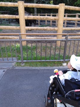 名古屋市東山動植物園に投稿された画像（2025/10/29）