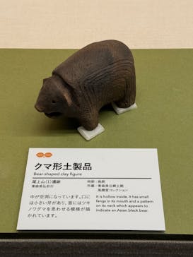 特別展　世界遺産　縄文に投稿された画像（2025/10/29）