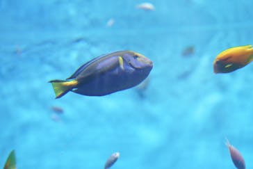 アクアワールド茨城県大洗水族館に投稿された画像（2025/10/29）
