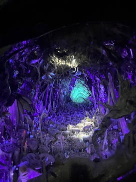 金曜ロードショーとジブリ展（静岡展）に投稿された画像（2025/10/29）