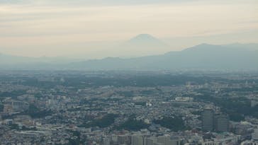 横浜ランドマークタワー 69階展望フロア スカイガーデンに投稿された画像（2025/10/29）