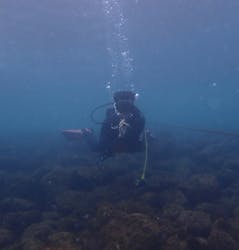 ドルフィンリングに投稿された画像（2025/10/29）