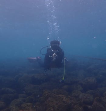 ドルフィンリングに投稿された画像（2025/10/29）