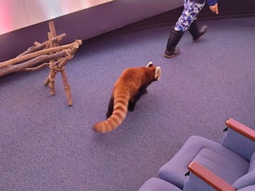 横浜・八景島シーパラダイスに投稿された画像（2025/10/29）