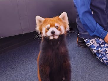 横浜・八景島シーパラダイスに投稿された画像（2025/10/29）