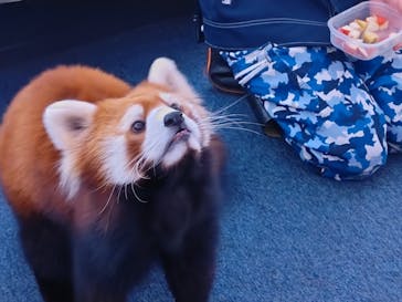 横浜・八景島シーパラダイスに投稿された画像（2025/10/29）