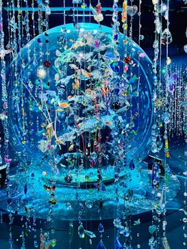 AQUARIUM × ART　atoa×felissimo chocolate museum（フェリシモ チョコレート ミュージアム）に投稿された画像（2025/10/29）