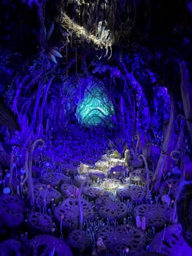 金曜ロードショーとジブリ展（静岡展）に投稿された画像（2025/10/29）