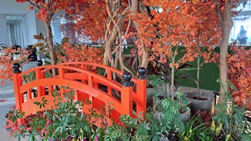 サンシャイン60展望台に投稿された画像（2025/10/29）