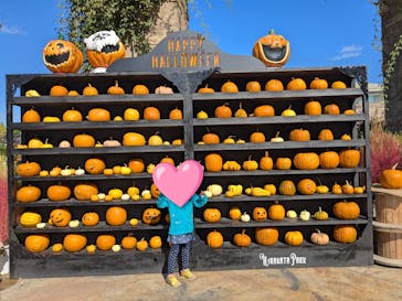 ひらかたパークに投稿された画像（2025/10/29）