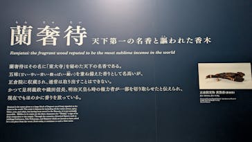 正倉院 THE SHOW ―感じる。いま、ここにある奇跡―　@上野の森美術館に投稿された画像（2025/10/29）