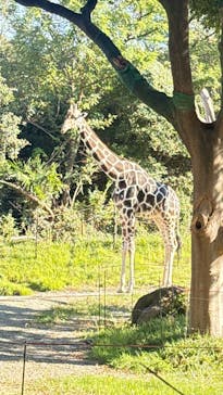 天王寺動物園に投稿された画像（2025/10/29）