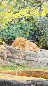 天王寺動物園に投稿された画像（2025/10/29）