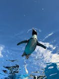 サンシャイン水族館に投稿された画像（2025/10/29）