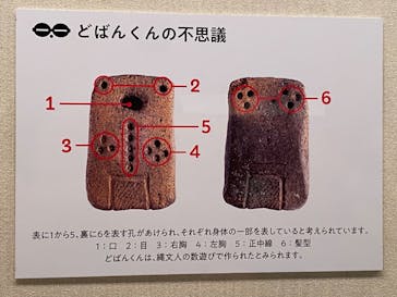 特別展　世界遺産　縄文に投稿された画像（2025/10/29）