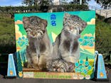 名古屋市東山動植物園に投稿された画像（2025/10/29）