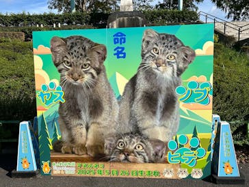 名古屋市東山動植物園に投稿された画像（2025/10/29）