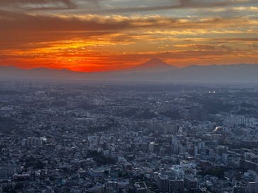 横浜ランドマークタワー 69階展望フロア スカイガーデンに投稿された画像（2025/10/29）
