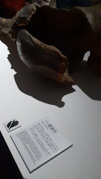 正倉院 THE SHOW ―感じる。いま、ここにある奇跡―　@上野の森美術館に投稿された画像（2025/10/29）