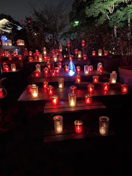 江の島シーキャンドルに投稿された画像（2025/10/29）