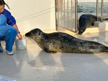 越前松島水族館に投稿された画像（2025/10/29）