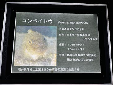 越前松島水族館に投稿された画像（2025/10/29）