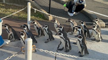 越前松島水族館に投稿された画像（2025/10/29）