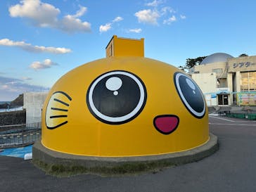 越前松島水族館に投稿された画像（2025/10/29）