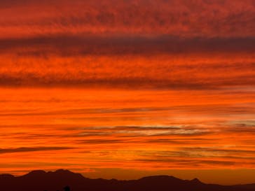 新江ノ島水族館に投稿された画像（2025/10/29）