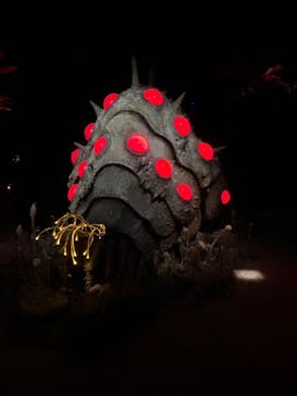 金曜ロードショーとジブリ展（静岡展）に投稿された画像（2025/10/29）